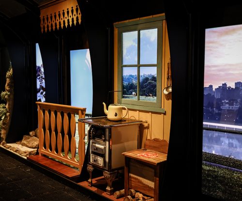 planeta_agua_9jun-128